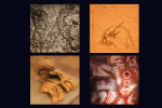 dec.2009 HUIDTABLEAU, landschap van je hersenactiviteit